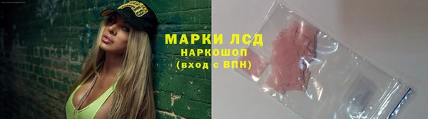 ГАЛЛЮЦИНОГЕННЫЕ ГРИБЫ Кулебаки