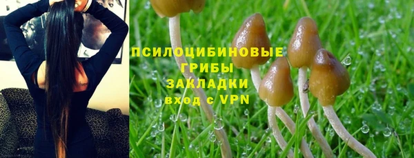 ГАЛЛЮЦИНОГЕННЫЕ ГРИБЫ Кулебаки